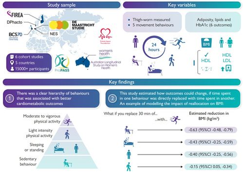 研究發現 運動護心，哪種最給力？數字技術帶你一探究竟